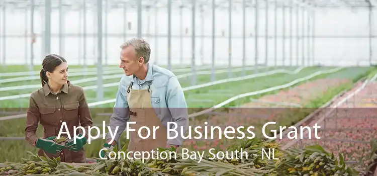 Apply For Business Grant Conception Bay South - NL